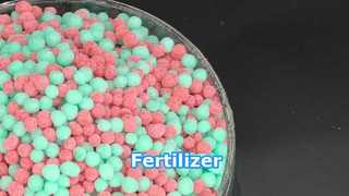 How to Choose the Right Fertilizer for Your Needs